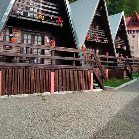 Cabane Sinaia Kültér fotó