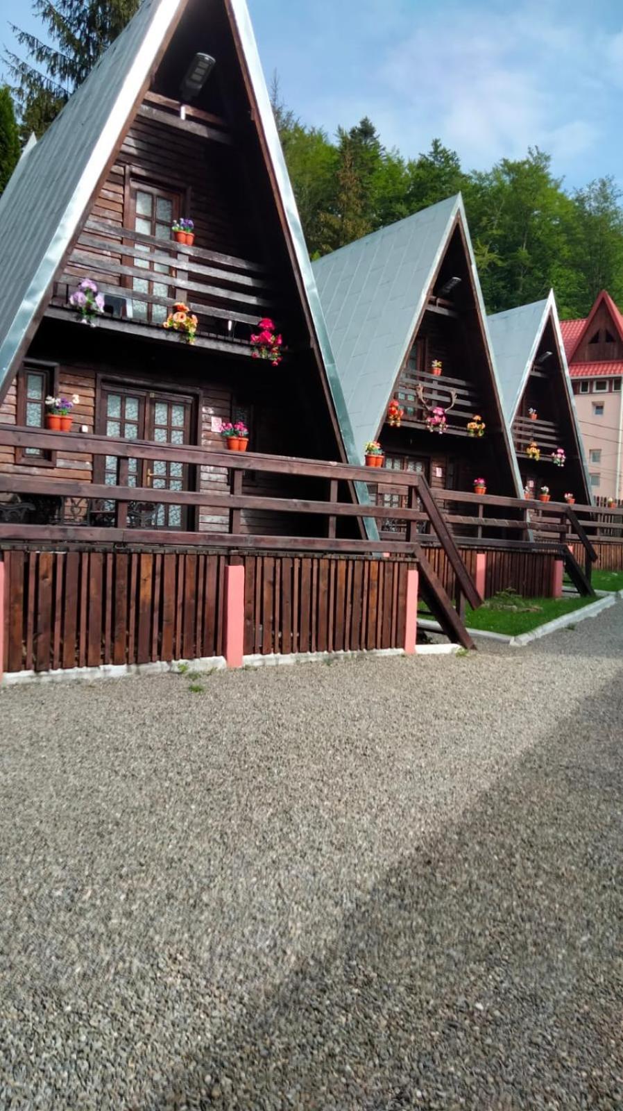 Cabane Sinaia Kültér fotó